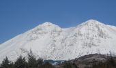 Tour Zu Fuß Massa d'Albe - Fonte Canale - Cresta Sudest - Monte Velino - Photo 2