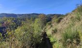 Randonnée Marche Essertines-en-Châtelneuf - Essertines en Châtelneuf - Photo 18