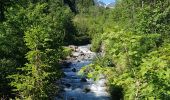 Tour Wandern Chamonix-Mont-Blanc - Cascade du Dard Glacier du Bosson - Photo 7