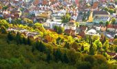 Trail On foot Gomadingen - Traufgang Schlossfelsen - Photo 6