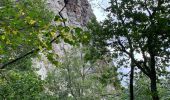 Excursión Senderismo Chamalières-sur-Loire - Le rocher de Costaros - Photo 2