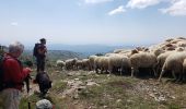 Tour Wandern Caussols - CAUSSOLS-Les plateaux de Calern et de Caussols-MBO - Photo 15