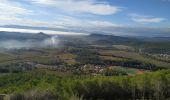 Randonnée Marche Taradeau - taradeau l'oppidum - Photo 6