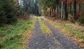 Trail Walking Gouvy - gouvy - Photo 1