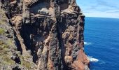 Tour Wandern Caniçal - Madère : la presqu'île de Sao Lourenço - Photo 13