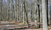 Excursión A pie Vaihingen an der Enz - Blauer Punkt, Horrheim - Fleckenwald - Photo 10