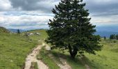 Trail Walking Kamnik - Velika Planina - Photo 2