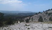 Trail Walking Saint-Agnan-en-Vercors - Rocher de la Peyrouse - Photo 9