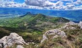 Randonnée Marche Val-Buëch-Méouge - Crête de l'âne, des Planes et Roc de Gloritte Via Plaugiers - Photo 13