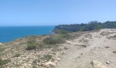 Randonnée Marche Leucate - FALAISES LEUCATE-LA FRANQUI Mardi jour - Photo 1