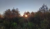 Trail Walking Eupen - nahtsief court - Photo 1