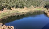 Randonnée Marche La Londe-les-Maures - Les barrages de la Londe - Photo 2