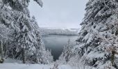 Tour Nordic Walking Besse-et-Saint-Anastaise - lac pavin 02/01/2021 - Photo 1