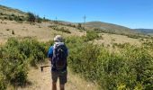 Randonnée Marche Gorges du Tarn Causses - Saint Chely 17 km - Photo 5