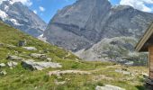 Randonnée Marche Pralognan-la-Vanoise - Pralognan 2025-07-15 Lac des vaches - Col de Rosset - Photo 6