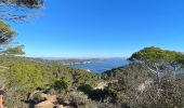 Trail  Hyères - GIENS - Photo 2