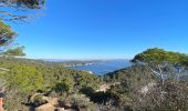 Tour  Hyères - GIENS - Photo 2