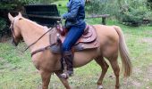 Trail Horseback riding Baccarat - Randonnée fouy Alex Tivio  - Photo 7