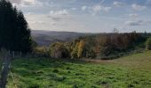 Randonnée Marche Houffalize - Engreux 021122 - Photo 2