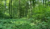 Randonnée Marche Villers-Cotterêts - en forêt de Retz_87_la Laie des Masures par la Route Chrétiennette - Photo 15