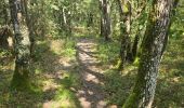 Trail Walking Maisse - Maisse - Forêt communale de Milly-la-Forêt - Photo 10