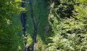 Tocht Stappen Gavarnie-Gèdre - Cirque de lis  - Photo 6