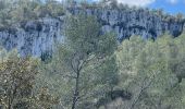 Randonnée  Roquefort-la-Bédoule - Sous les barres de fond blanche  - Photo 12