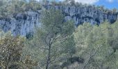 Tour  Roquefort-la-Bédoule - Sous les barres de fond blanche  - Photo 12