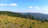 Tocht Te voet Vernířovice - Lesní ekostezka Švagrov - Photo 1