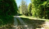 Randonnée Marche Saint-Agnan-en-Vercors - Col de Rousset - Le But de Nève - Photo 11
