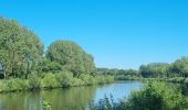 Randonnée Vélo électrique Gand - Vlaamse Ardennen - Photo 1