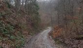 Trail Walking Verviers - mariomont - la gileppe aller via 