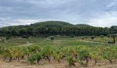 Tour Wandern La Cadière-d'Azur - LA CADIERE  - Photo 7