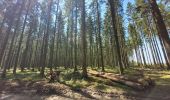 Tour Wandern Feitweiler - rando honville 18-05-2023 - Photo 14