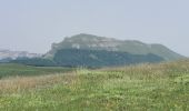 Excursión Senderismo Omblèze - Le Plateau d'Ambel du Col de la Bataille - Photo 13