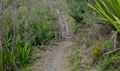 Trail Walking Saint-Paul - Canalisation des Orangers - Ilet des Orangers - Gite du Cirque - Photo 5