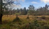 Percorso Marcia Spa - petit tour entre les fagnes Malchamps et James - Photo 12