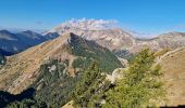 Randonnée Marche Gap - Les 3 Pics (Gleize Chaudun et Aiguille) - Photo 2