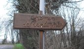Tour Wandern Franqueville-Saint-Pierre - 20230117-Franqueville  - Photo 2
