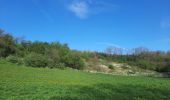 Tour Wandern Bergen - marche adeps harmignie  - Photo 10