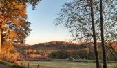 Randonnée Marche Esneux - tilff . bois des manants . ourthe  - Photo 1