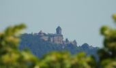 Tour Wandern Altweier - Roche du Tétras - Bilstein - Photo 12