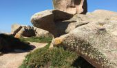 Trail Walking Perros-Guirec - Bretagne - Ploumanac’h-Tregastel  par la côte de Granit Rose - Photo 11