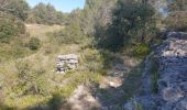 Excursión Senderismo Villegly - Les Quatre vents - Photo 2