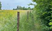Trail Walking Dour - Élouges 17 km - Photo 3