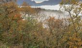 Trail  Aix-les-Bains - Croix de Corsuet - Photo 2