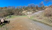 Trail Walking Comblain-au-Pont - mur géologique -03_04_2023 - Photo 4