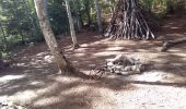 Excursión Senderismo Châtelus - la grotte des Gaulois, le pas de l' Echarasson, porte du diable, pas de charmate - Photo 6