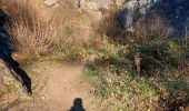 Trail Walking Viroinval - Nîmes _ Marche Privée  - Photo 4