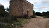 Trail Walking Mornas - Mornas forteresse et chapelle - Photo 2